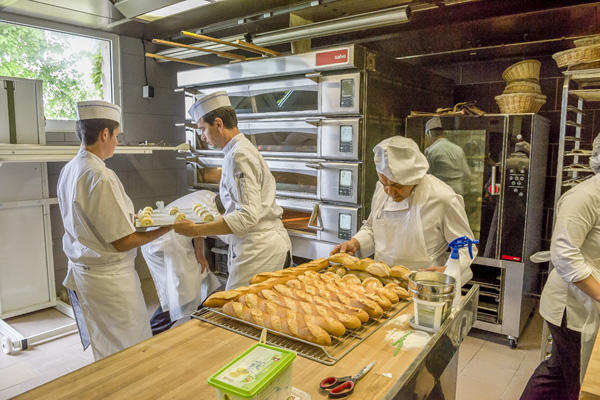フランス料理・製菓・製パン留学