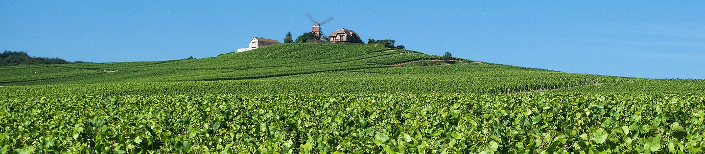 France Ryugaku